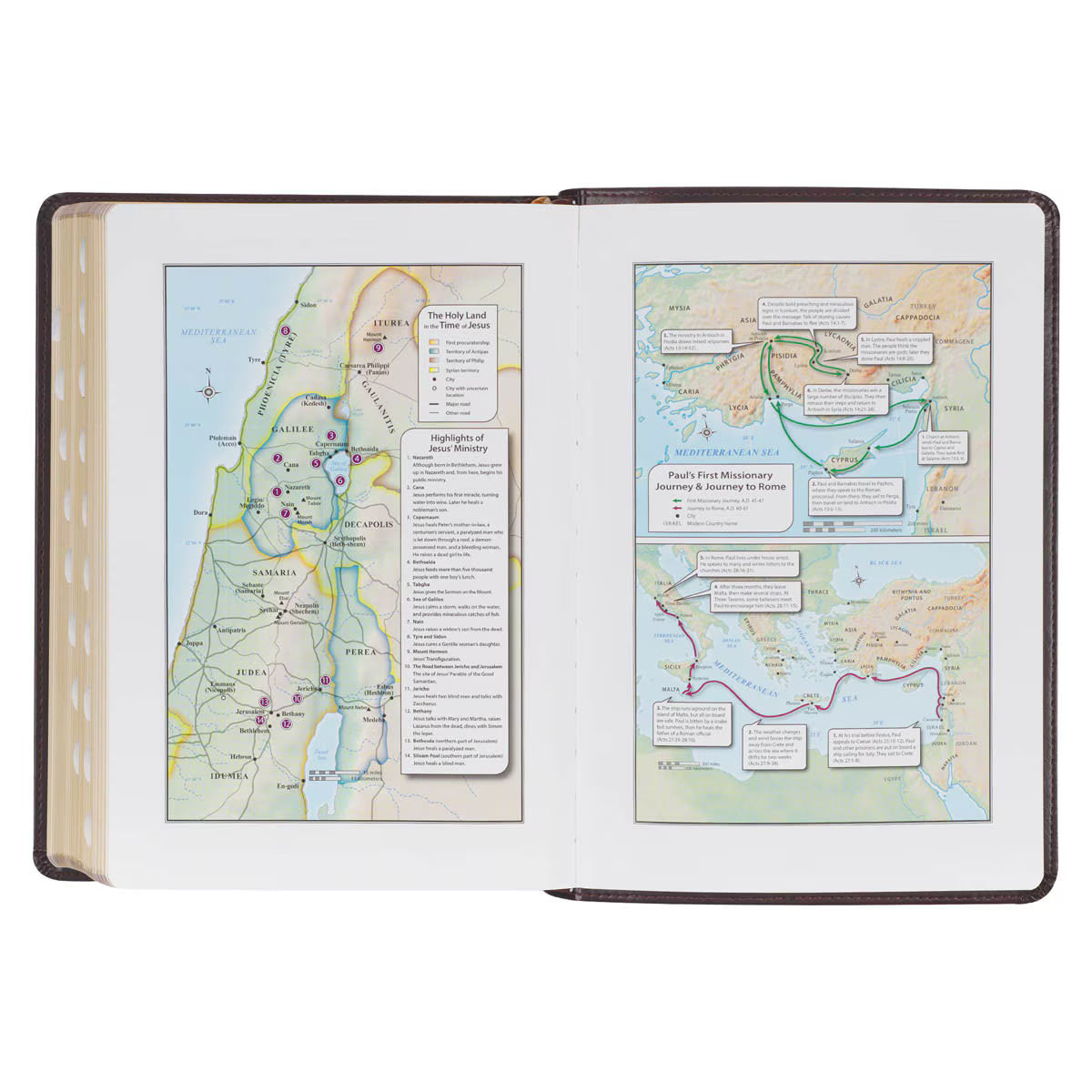 KJV Burgundy Faux Leather Study Bible with Thumb Index