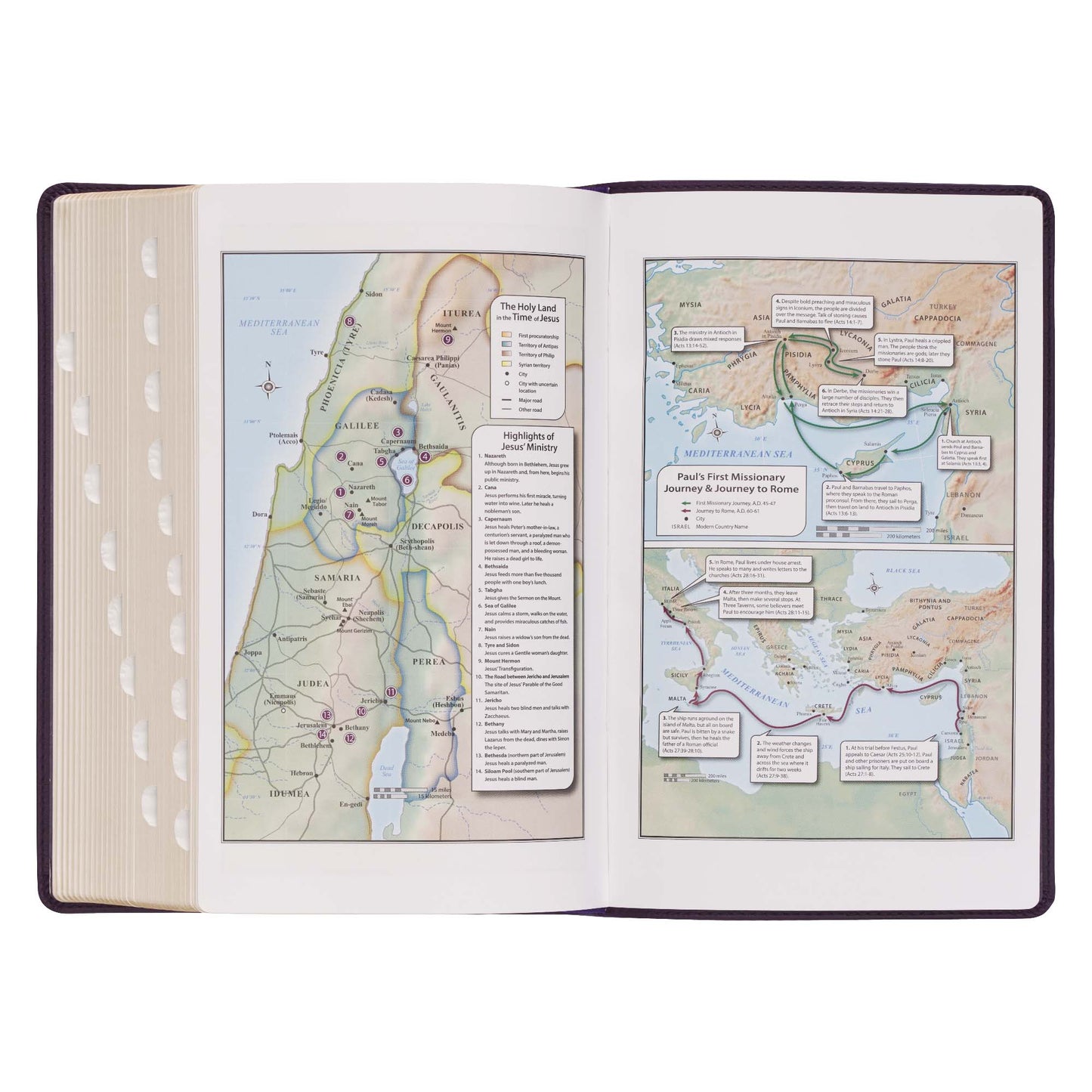 Purple Floral Faux Leather Giant Print Standard-size King James Version Bible with Thumb Index