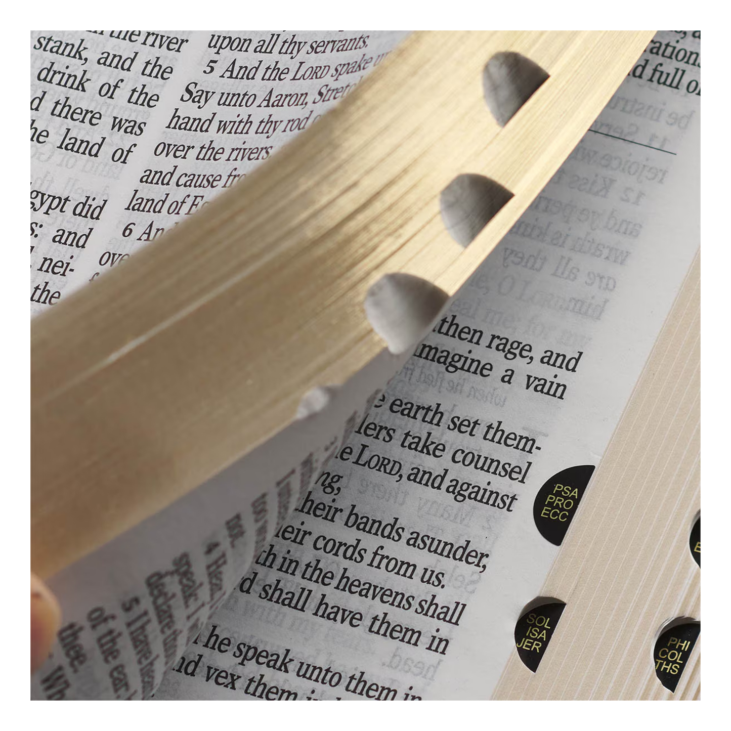 Purple Floral Faux Leather Giant Print Standard-size King James Version Bible with Thumb Index