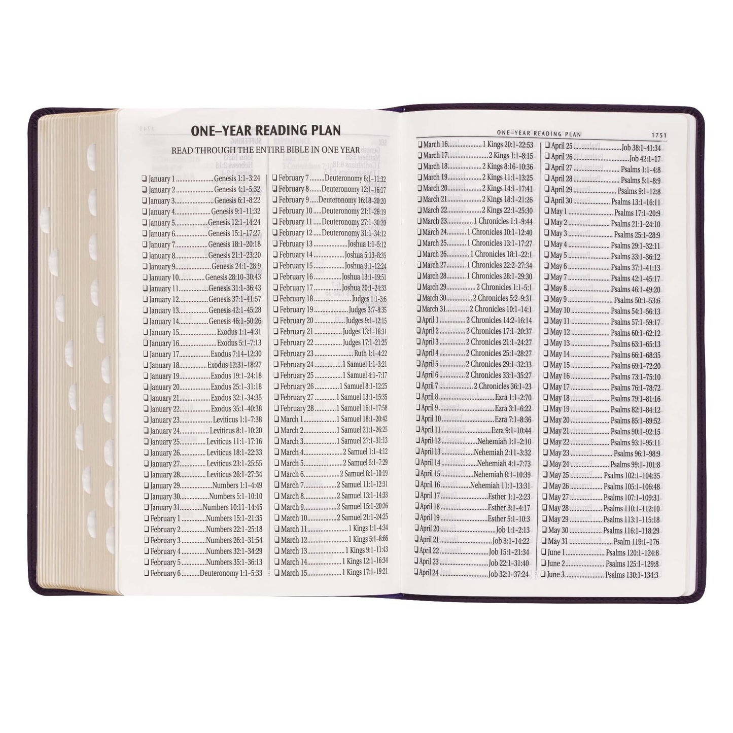 Purple Floral Faux Leather Giant Print Standard-size King James Version Bible with Thumb Index