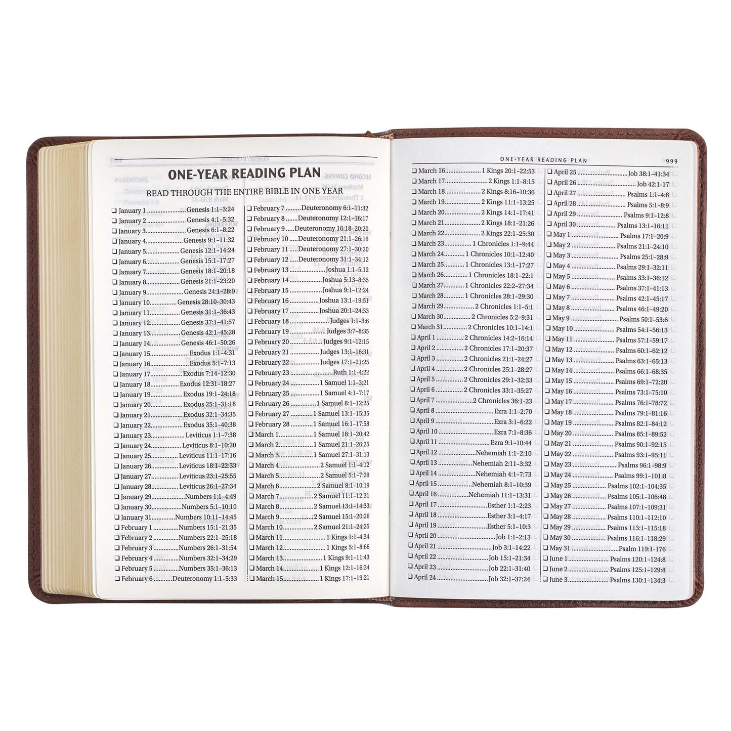 Medium Brown Faux Leather Compact King James Version Bible
