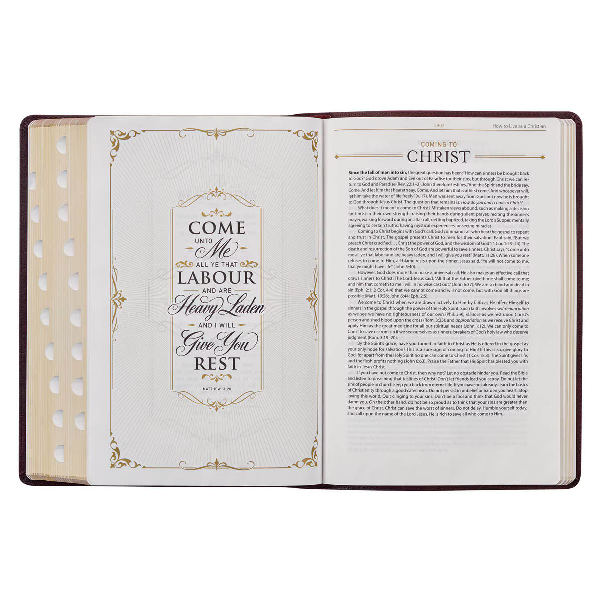 Burgundy Faux Leather Large Print King James Study Bible with Thumb Index