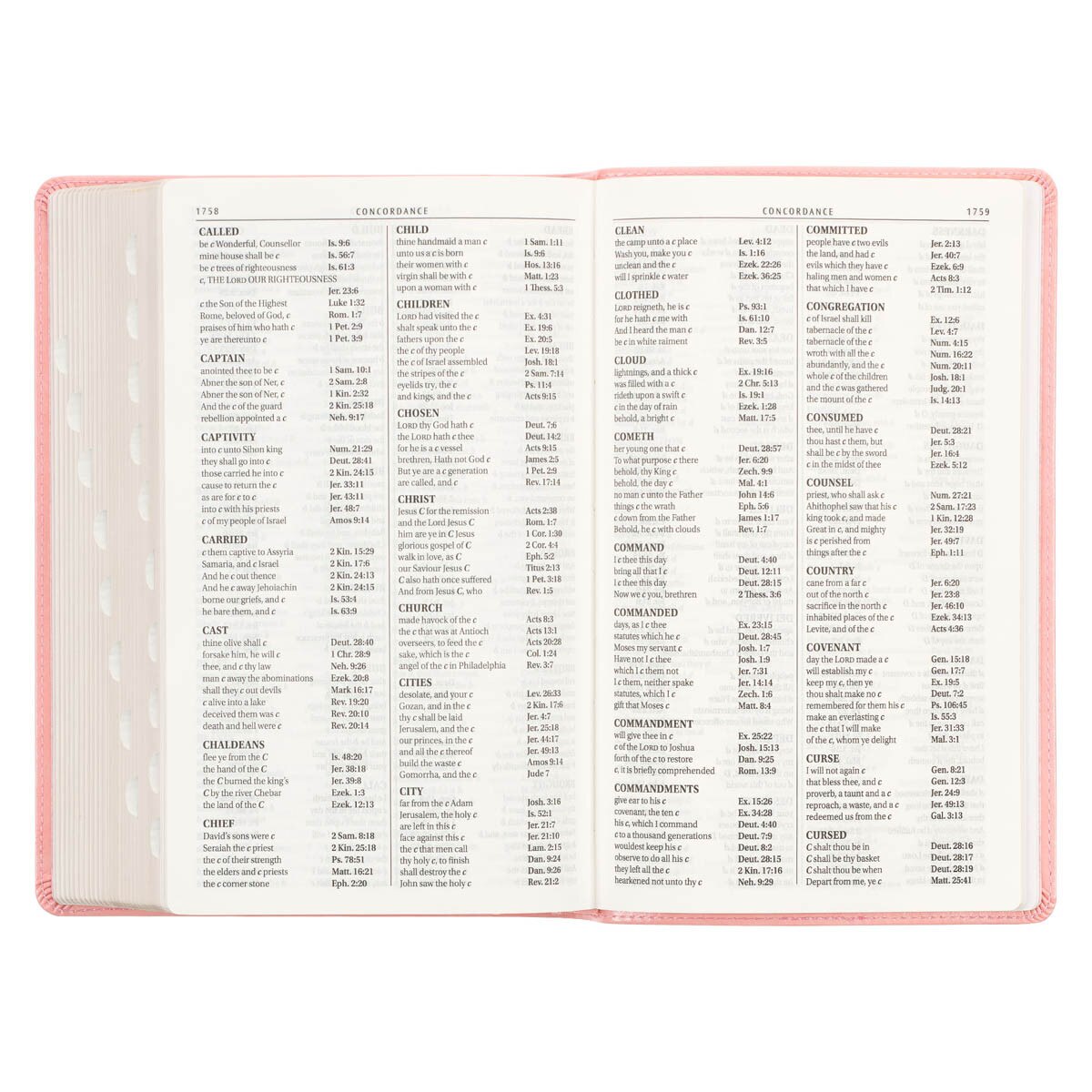 Sunrise Pink Faux Leather Giant Print Standard-size King James Version Bible with Thumb Index