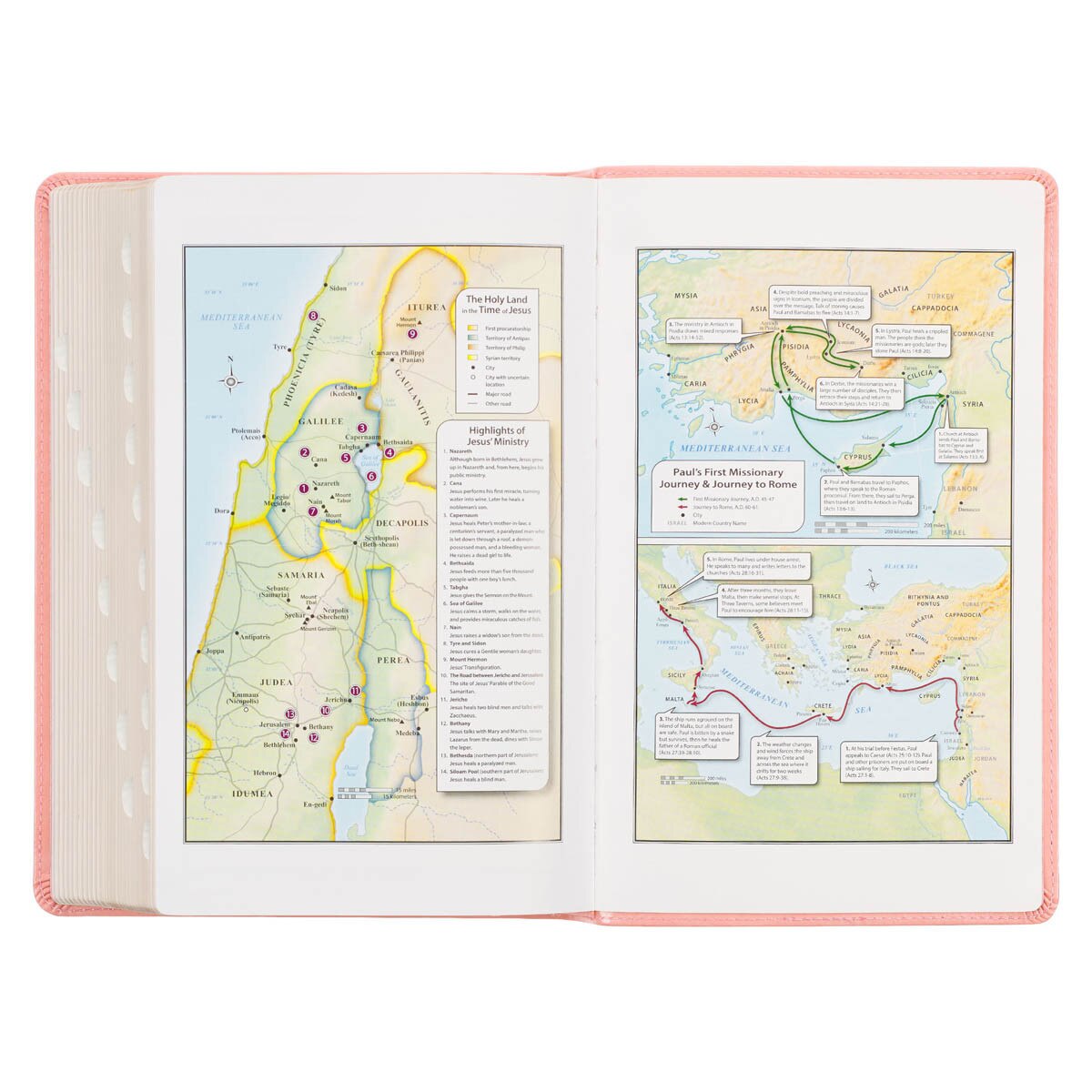 Sunrise Pink Faux Leather Giant Print Standard-size King James Version Bible with Thumb Index