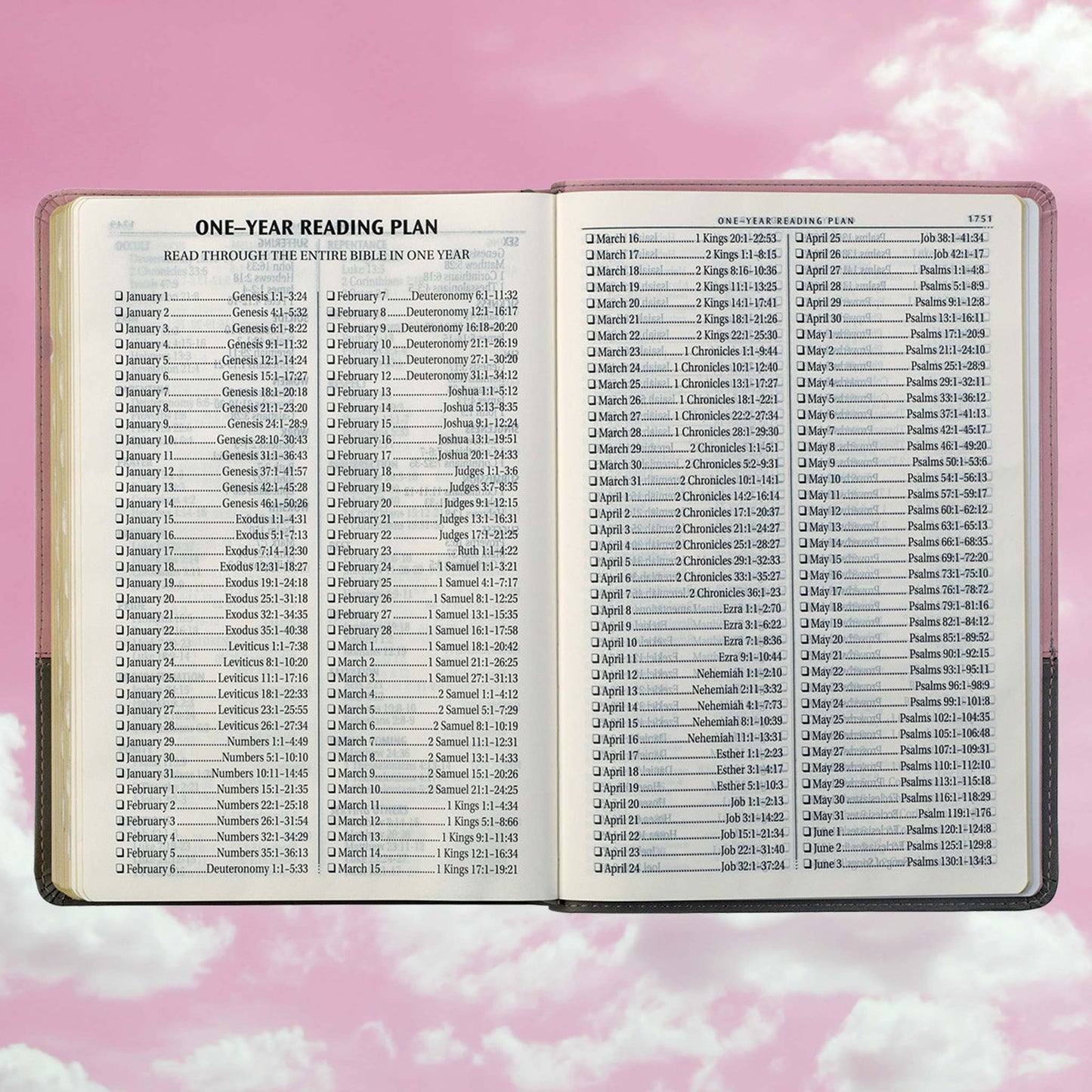 Pink and Gray Faux Leather Super Giant Print Full-size King James Version Bible with Thumb Index