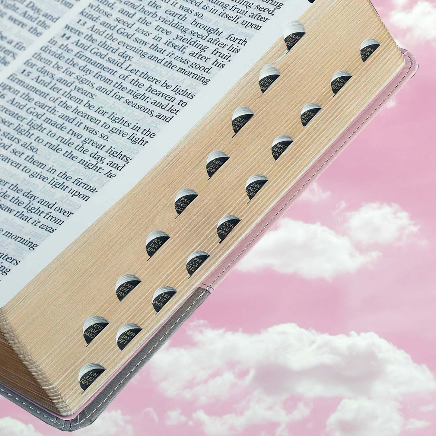 Pink and Gray Faux Leather Super Giant Print Full-size King James Version Bible with Thumb Index