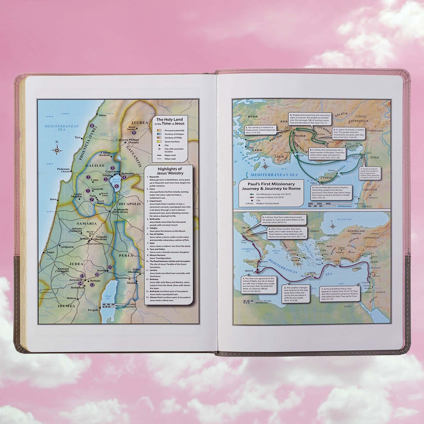 Pink and Gray Faux Leather Super Giant Print Full-size King James Version Bible with Thumb Index
