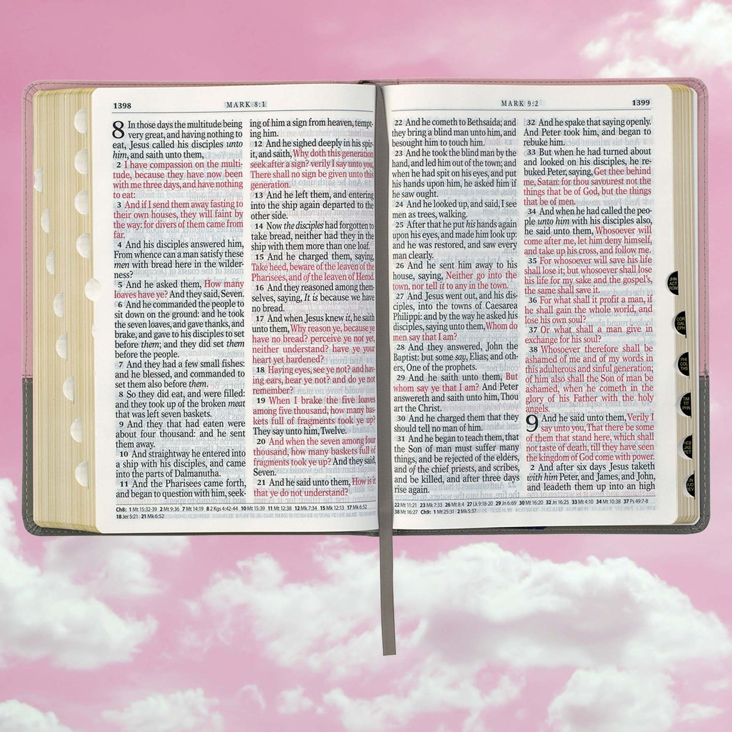 Pink and Gray Faux Leather Super Giant Print Full-size King James Version Bible with Thumb Index