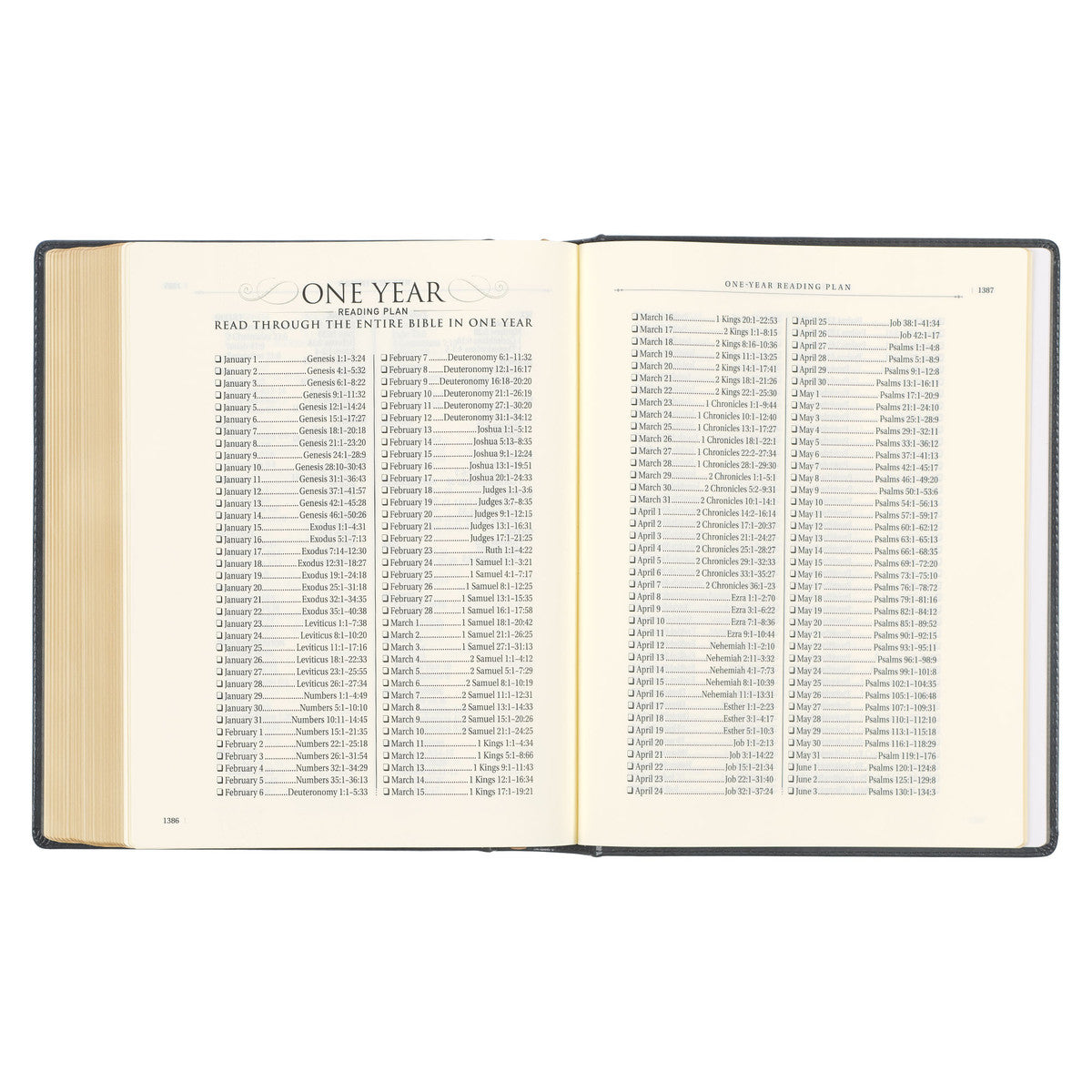 Iron Gray Faux Leather Hardcover Large Print King James Version Note-taking Bible