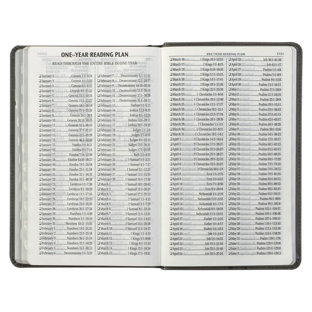 Gray and Black Faux Leather Giant Print Standard-size King James Version Bible with Thumb Index