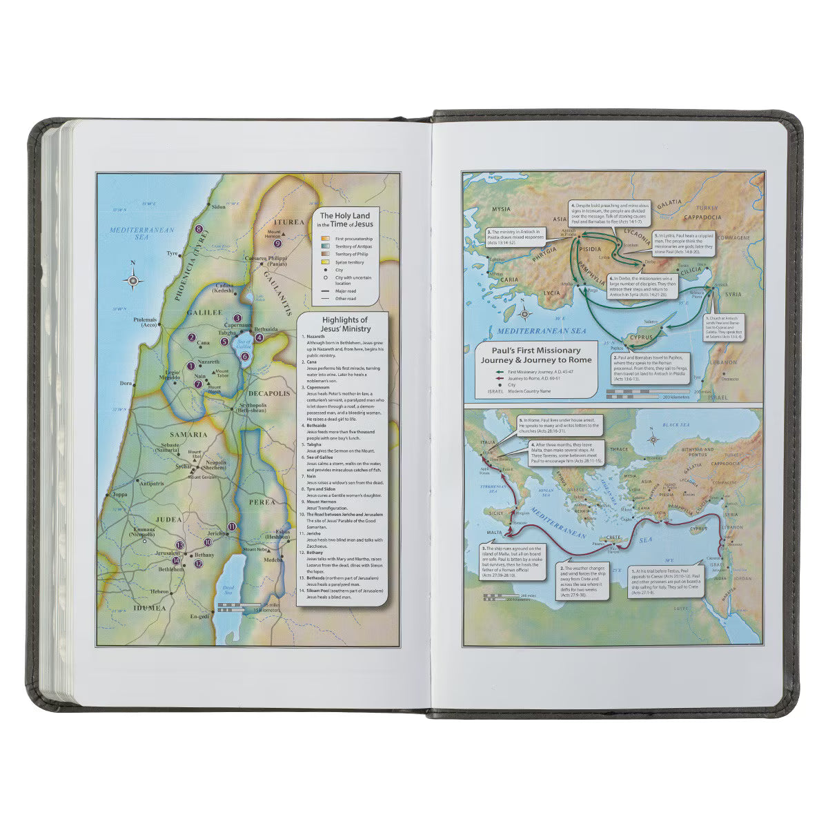 Gray and Black Faux Leather Giant Print Standard-size King James Version Bible with Thumb Index