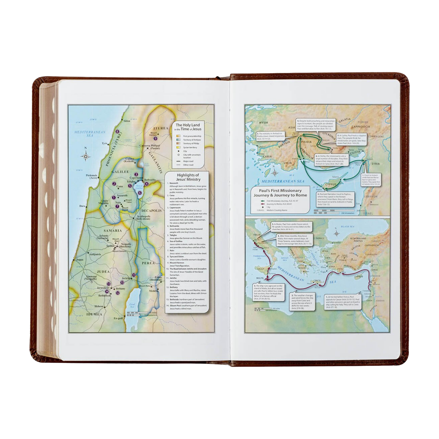 Saddle Tan and Butterscotch Faux Leather Giant Print Standard-size King James Version Bible with Thumb Indexing