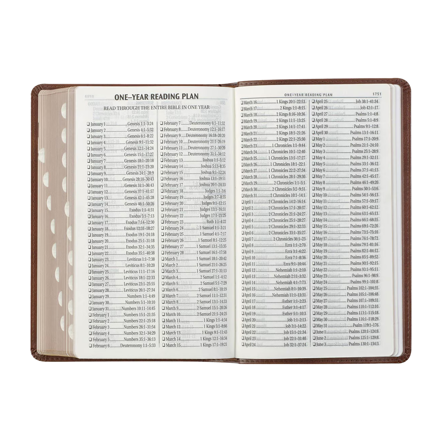 Saddle Tan and Butterscotch Faux Leather Giant Print Standard-size King James Version Bible with Thumb Indexing