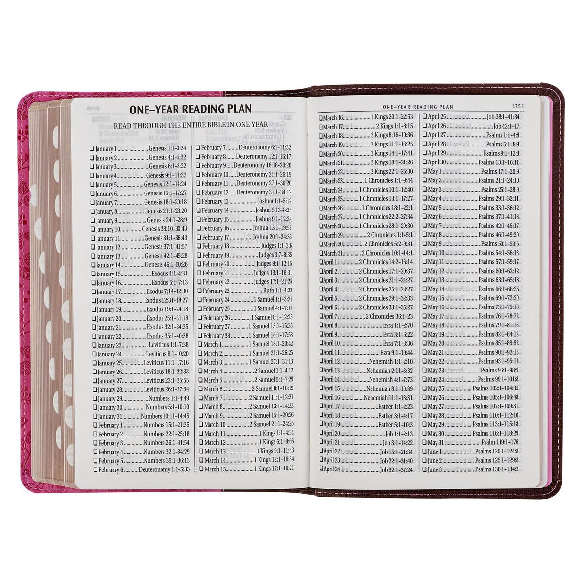 Brown and Berry Pink Faux Leather Giant Print Standard-size King James Version Bible with Thumb Index