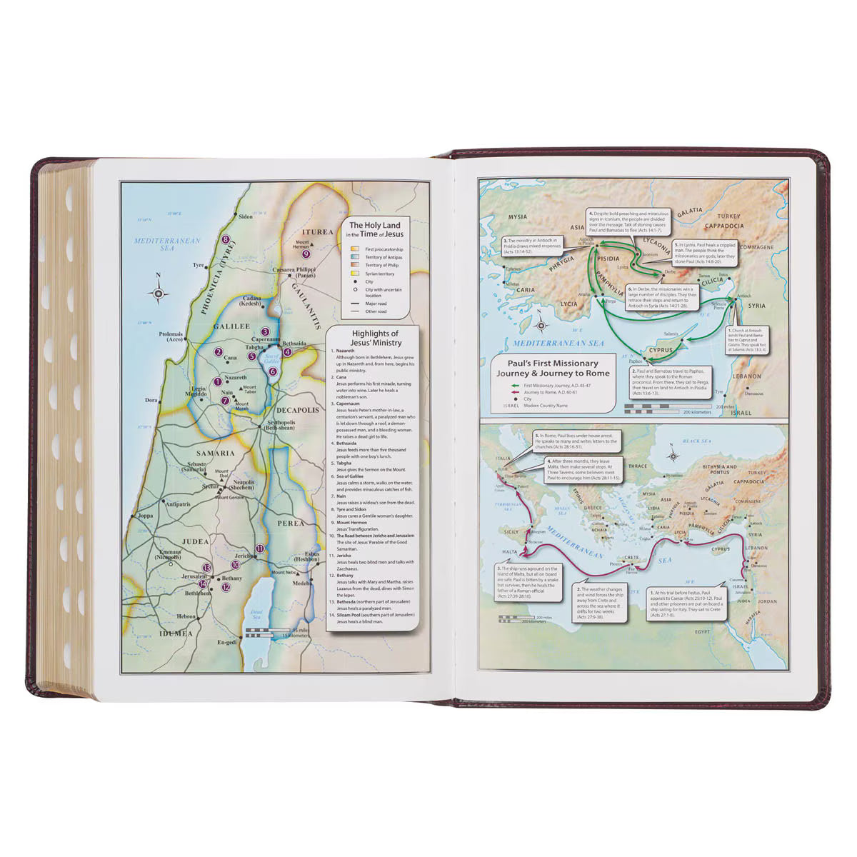 Burgundy and Saddle Tan Faux Leather Large Print King James Version Study Bible with Thumb Index