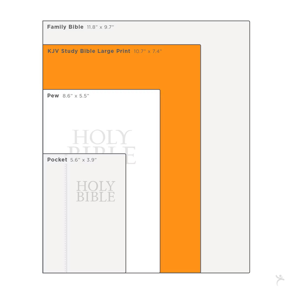 Tan Faux Leather NLT Everyday Devotional Bible for Men