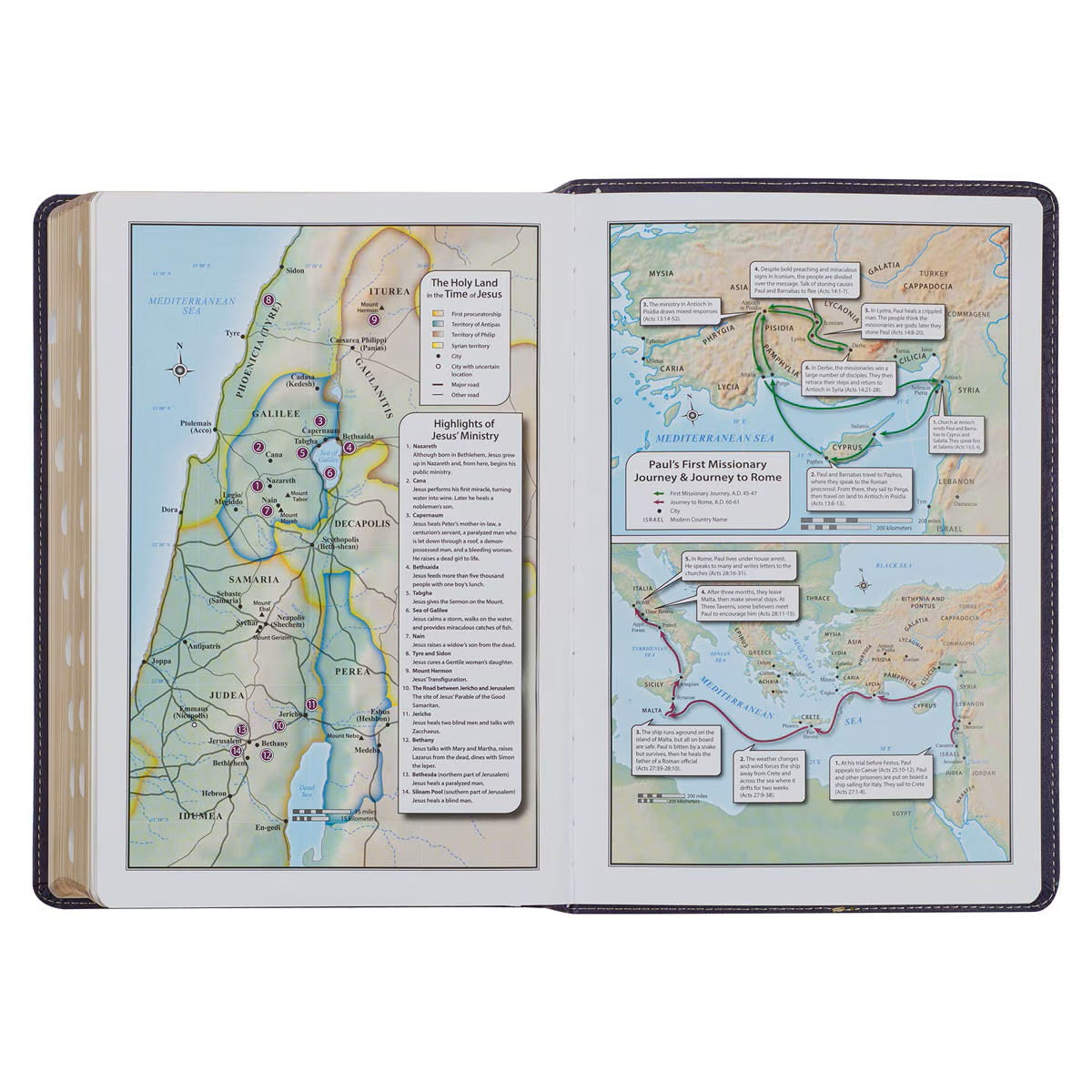 Two-tone Purple Faux Leather Large Print King James Version Study Bible with Thumb Index