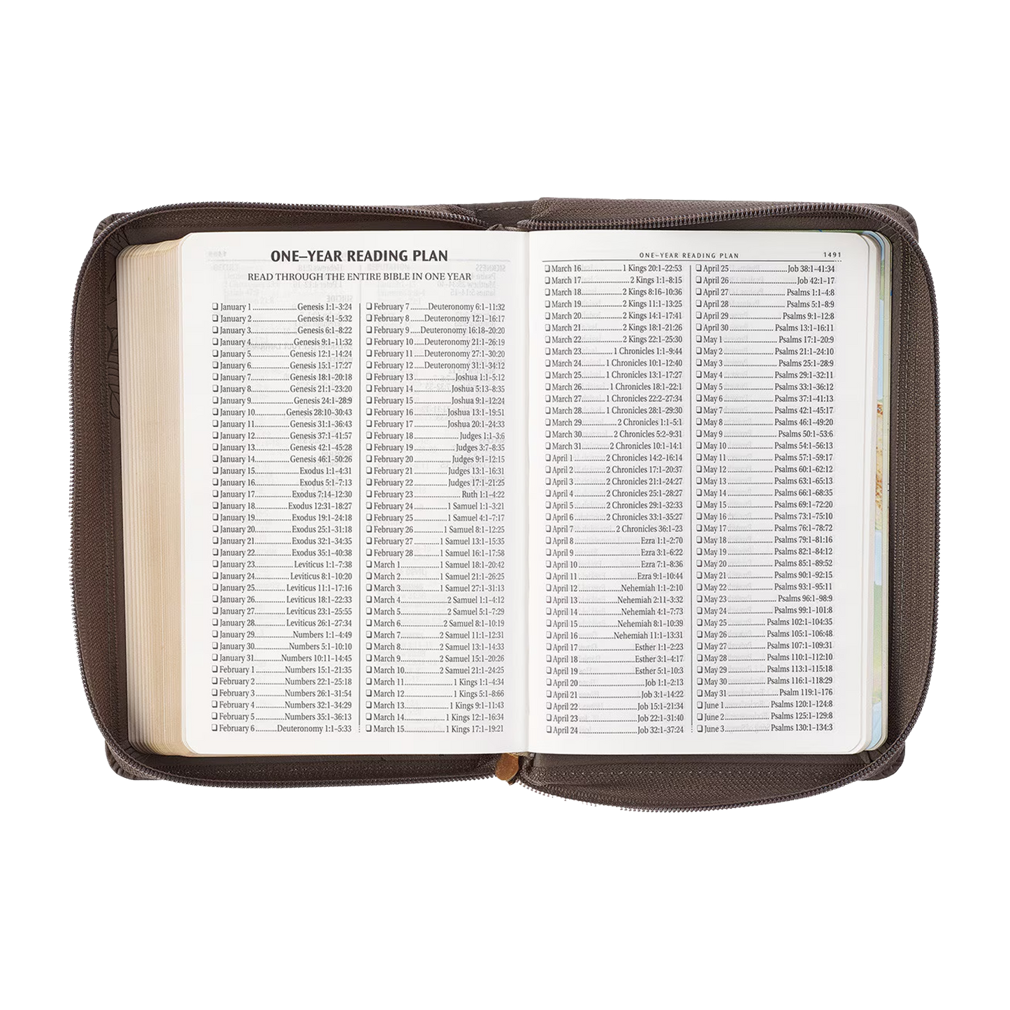 Floral Dusty Taupe Faux Leather Large Print Compact King James Version Bible