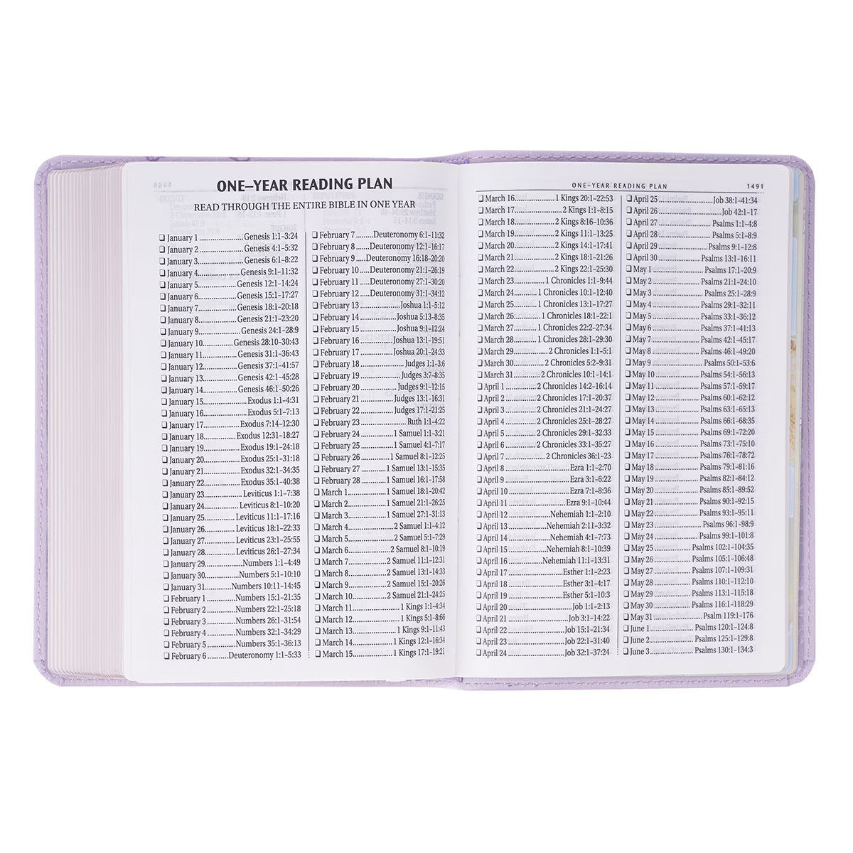 Lavender Bouquet Large Print Compact King James Version Bible