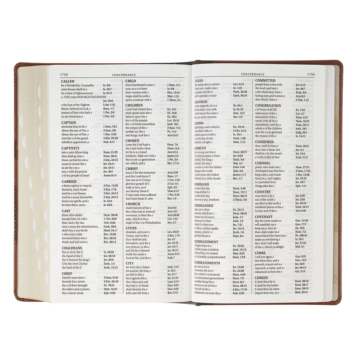 Rooted Brown Faux Leather Hardcover Standard-size Giant Print King James Version Bible with Thumb Index