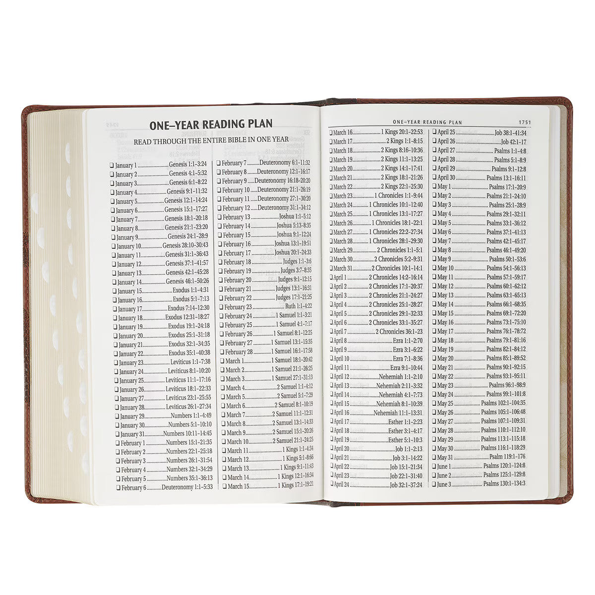 Rooted Brown Faux Leather Hardcover Standard-size Giant Print King James Version Bible with Thumb Index