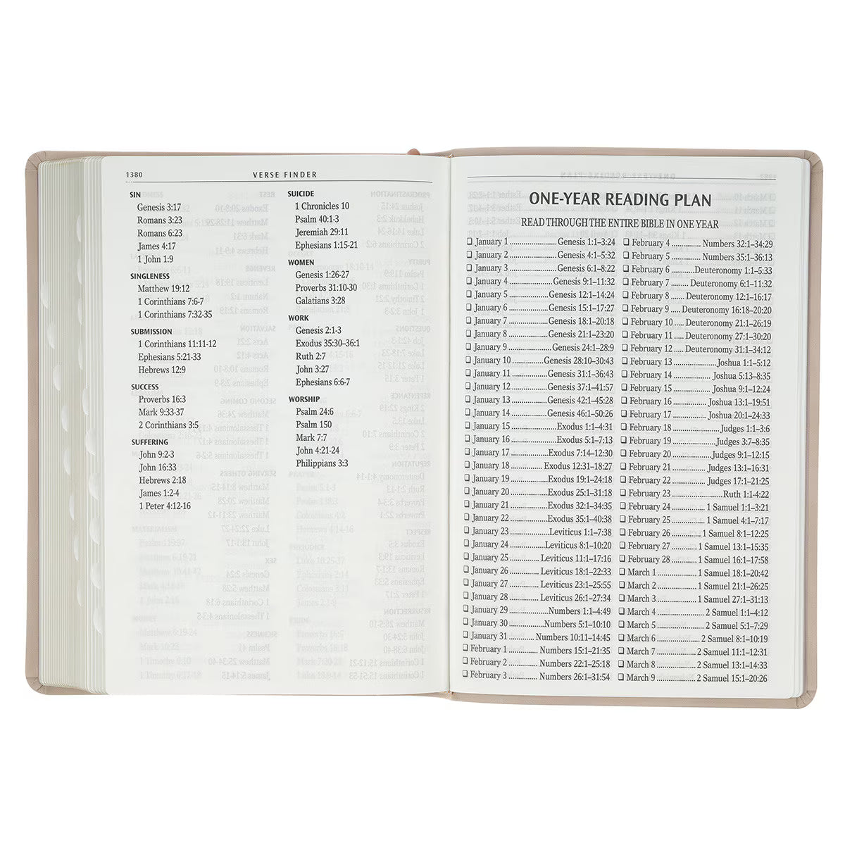 Blush Pink Floral Giant Print Full-size King James Version Bible with Thumb Index