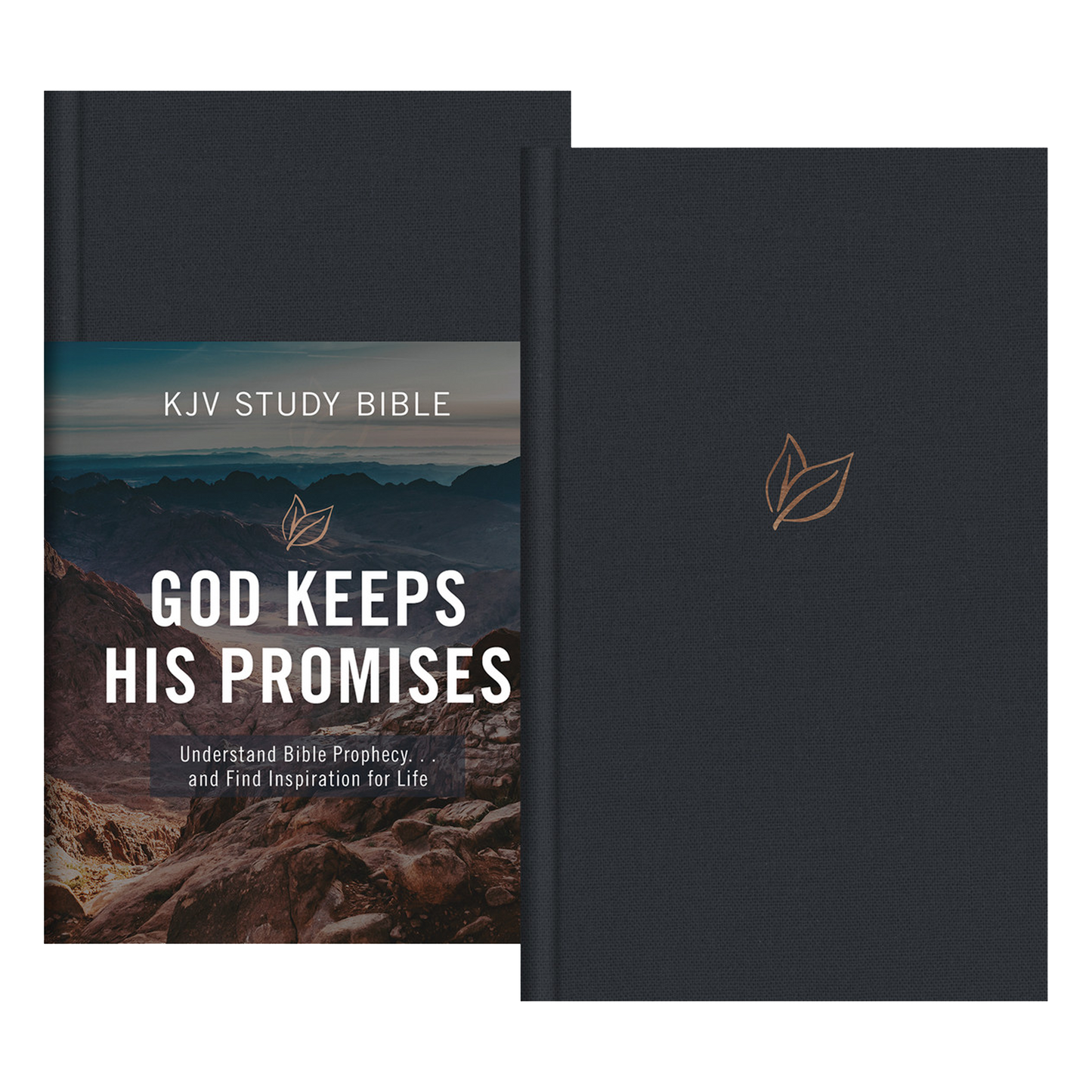 The God Keeps His Promises KJV Study Bible [Slate Leaf]