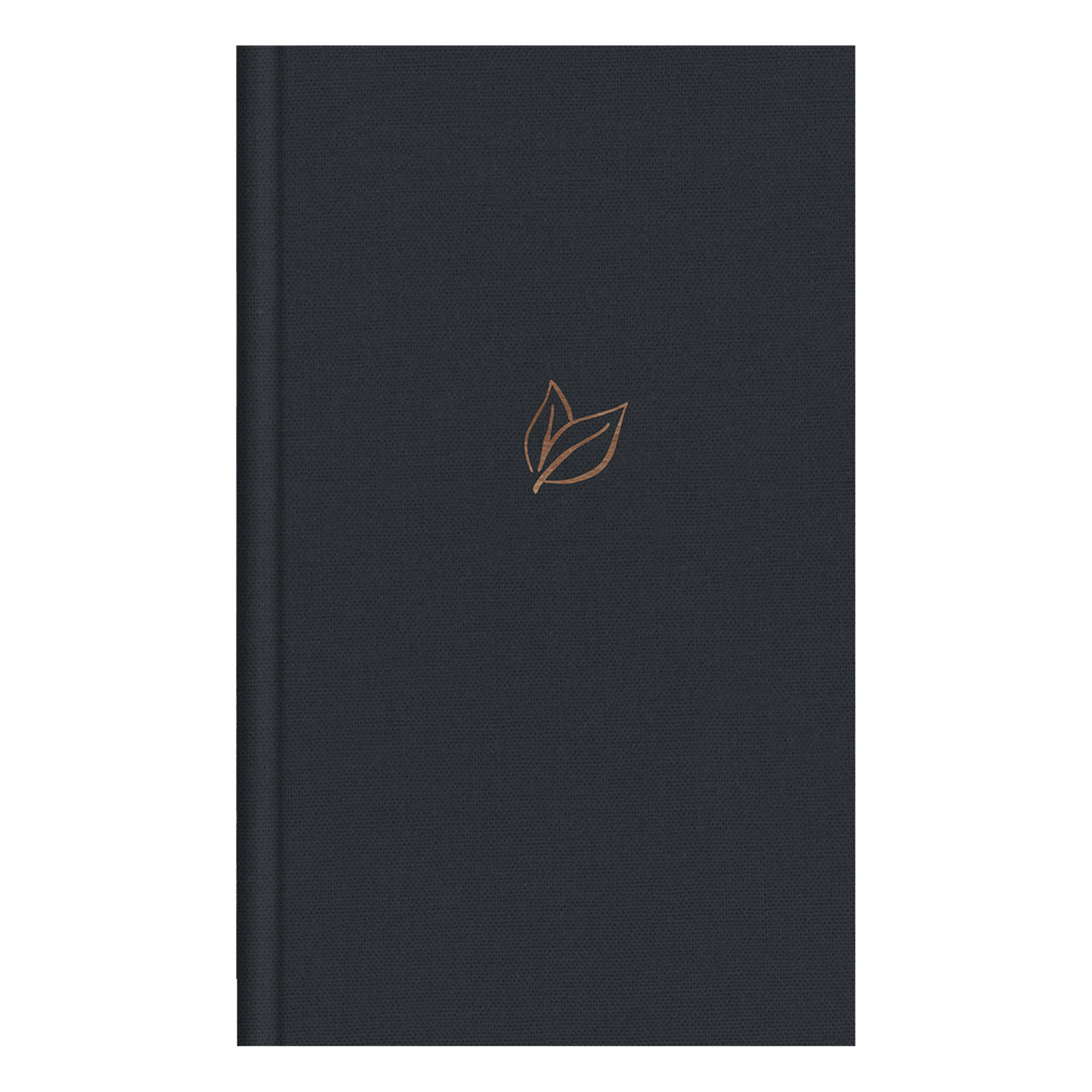 The God Keeps His Promises KJV Study Bible [Slate Leaf]