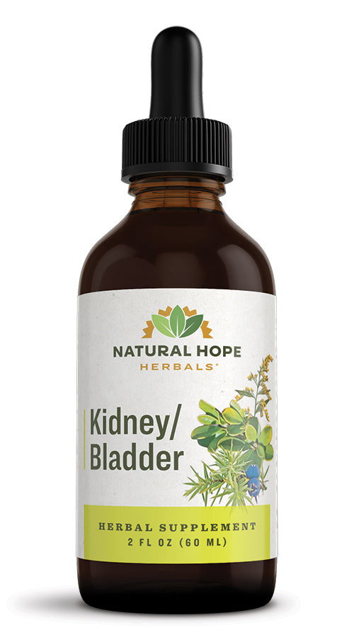 Kidney/Bladder