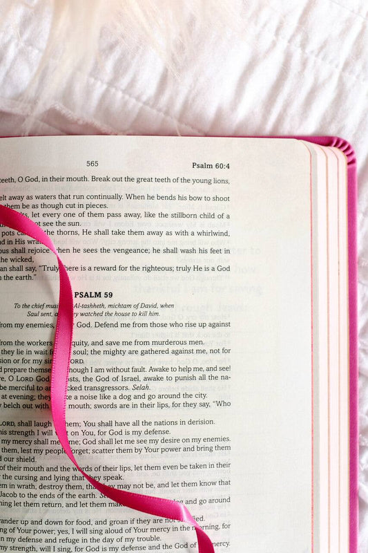 My Bible SKJV for Girls (Pink and Gold Florals)