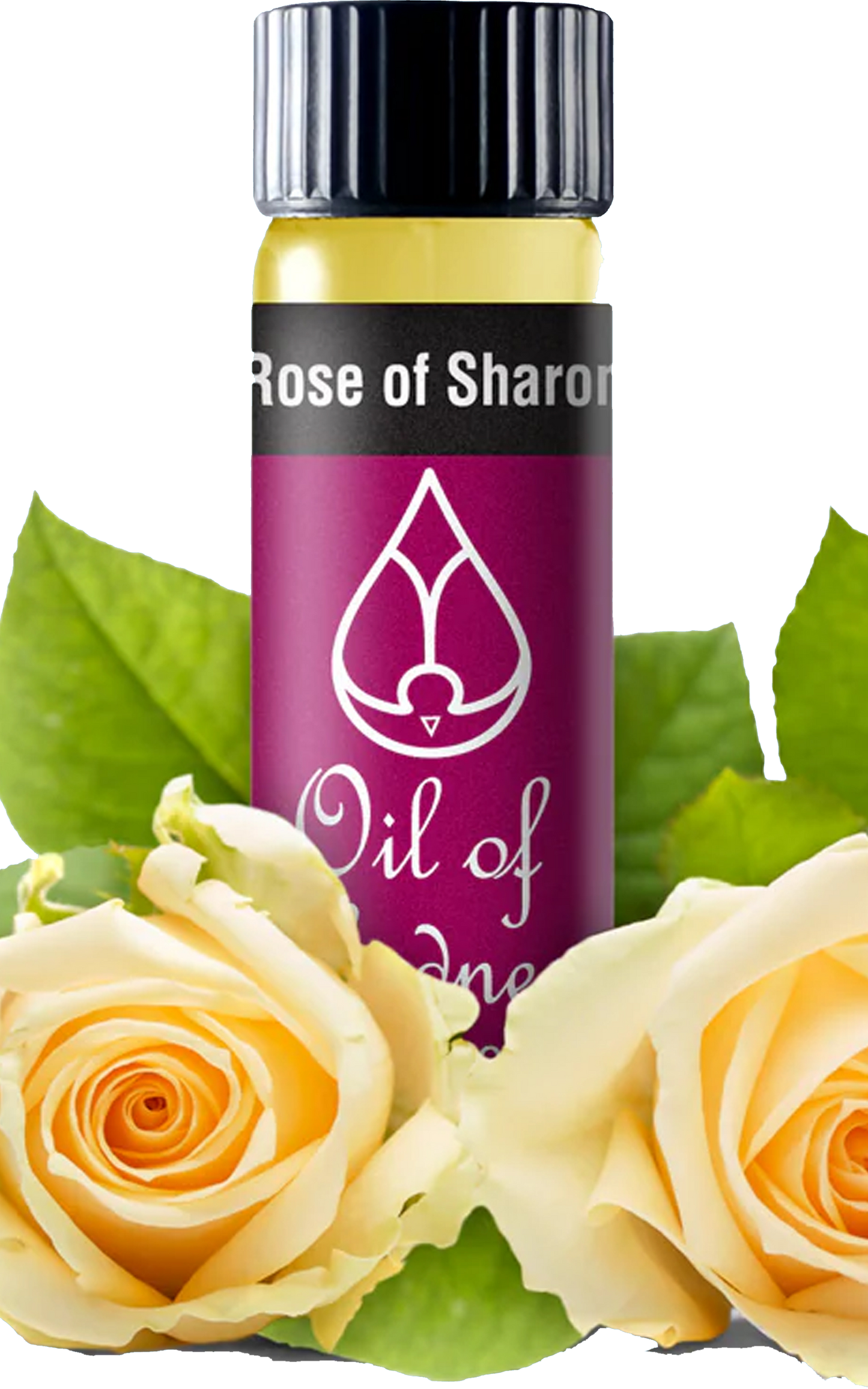 Rose of Sharon - Joy & Love - Anointing Oil