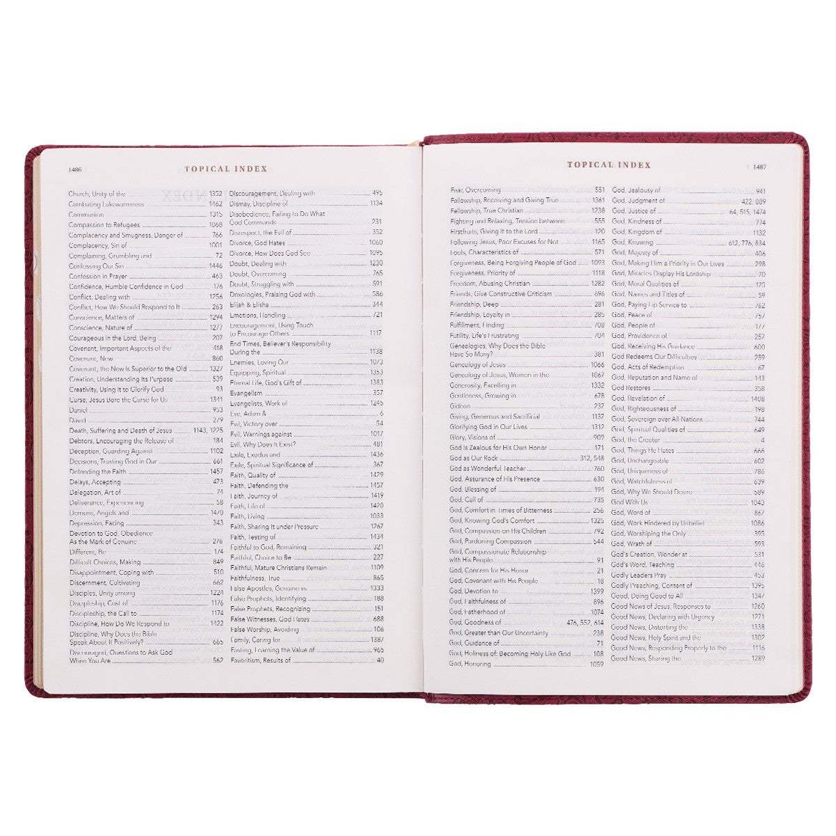 Berry Faux Leather Spiritual Growth Bible