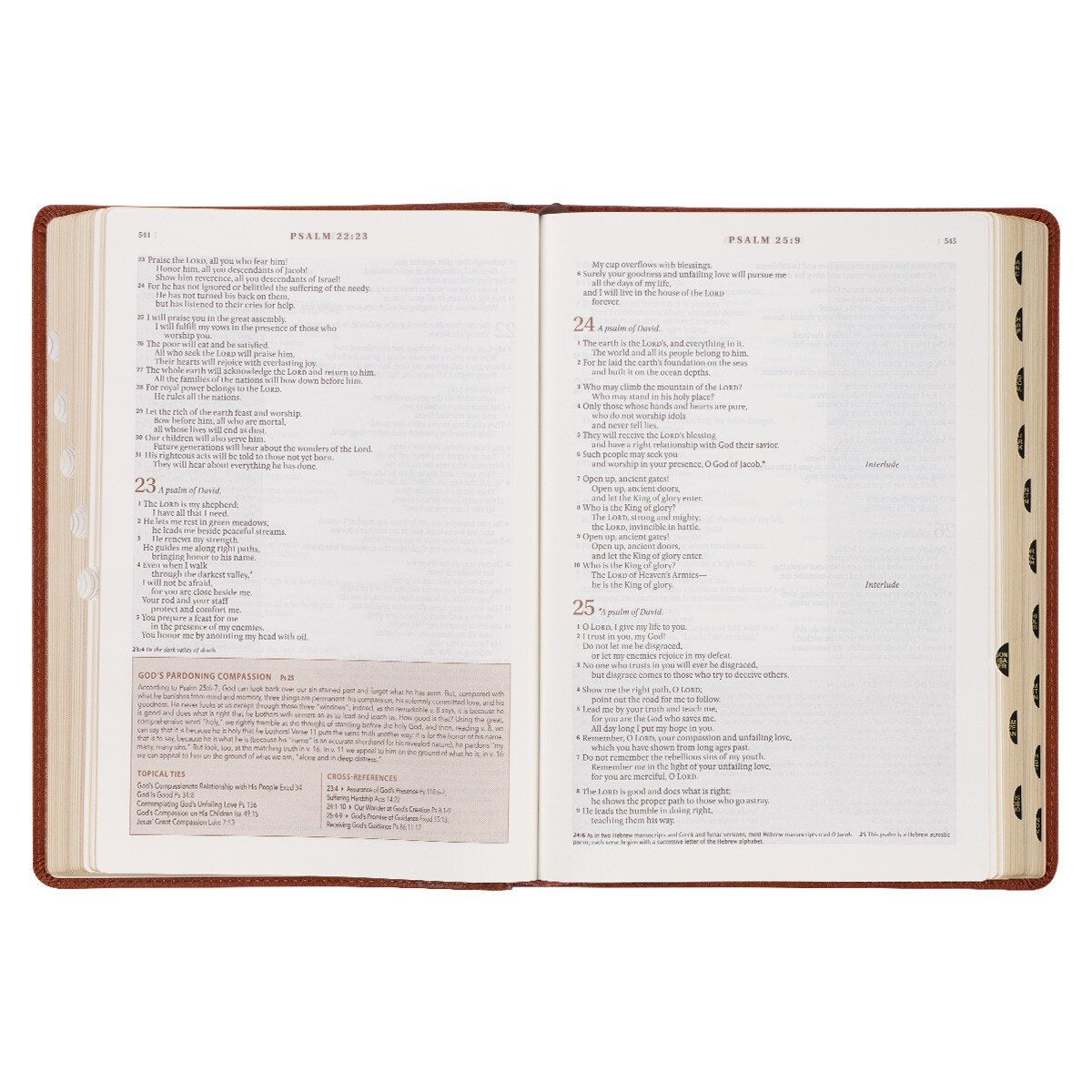 Saddle Tan Faux Leather Spiritual Growth Bible