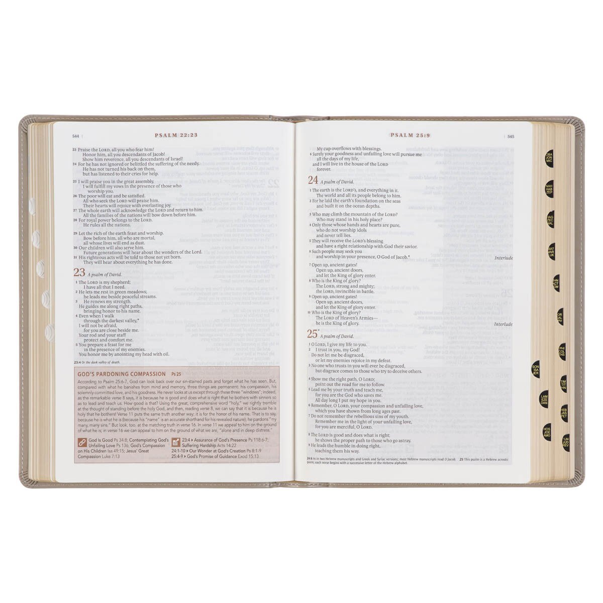 Embroidered Taupe Faux Leather Spiritual Growth Bible