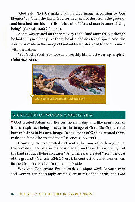 The Story of the Bible in 365 Readings: See and Understand the Grand Arc of Scripture By: Ed Strauss