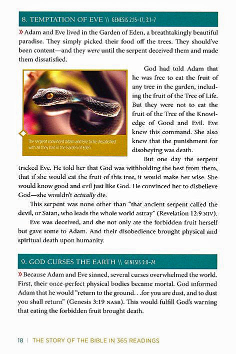 The Story of the Bible in 365 Readings: See and Understand the Grand Arc of Scripture By: Ed Strauss
