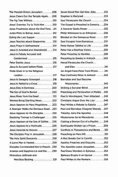 The Story of the Bible in 365 Readings: See and Understand the Grand Arc of Scripture By: Ed Strauss