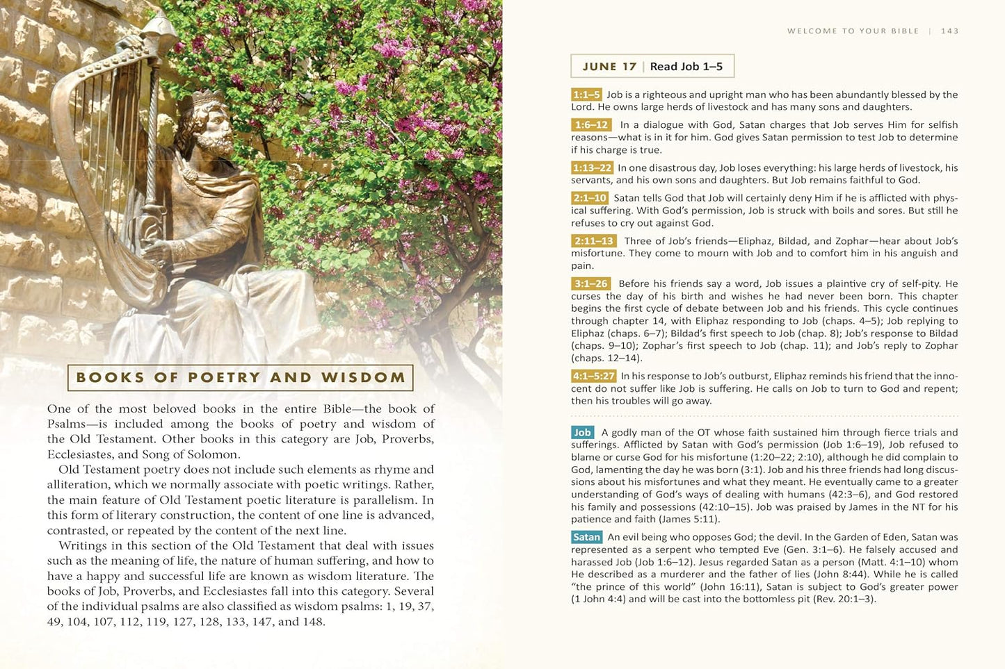 Welcome to Your Bible: Reading and Study Helps, Whatever Your Experience Level Paperback